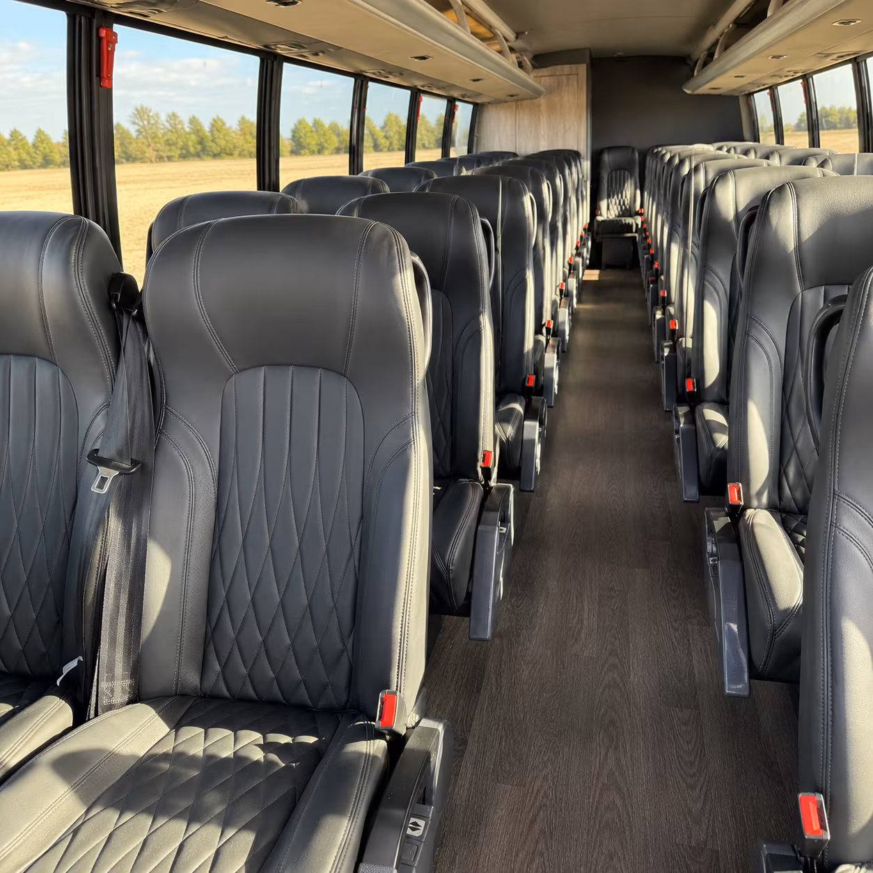 reserve transportation for your next prom 2